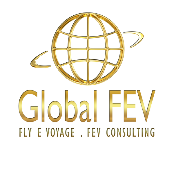 FevConsulting